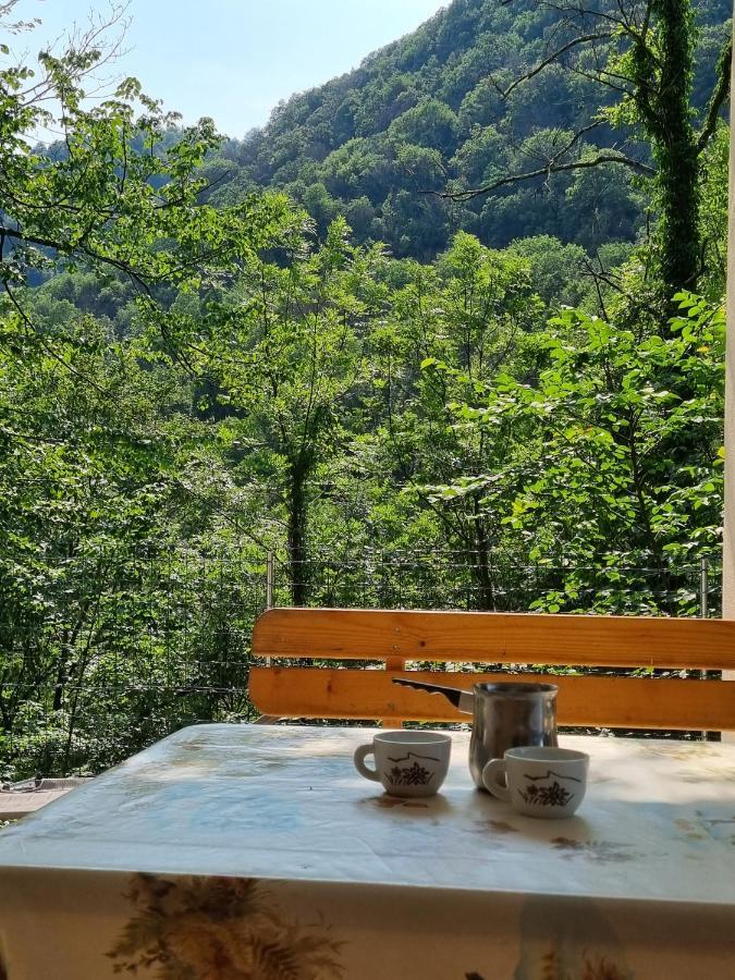 Glamping House ˇvitaˇ トールミン エクステリア 写真